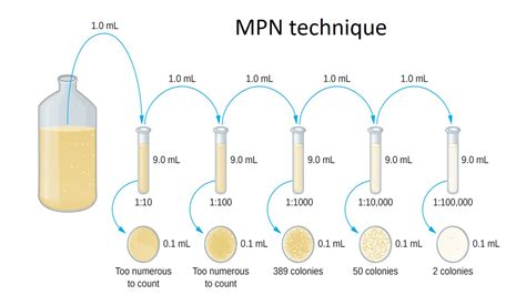 MOST PROBABLE NUMBER (MPN) TECHNIQUE .